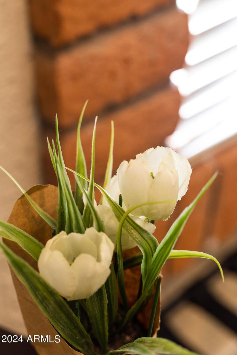 Scottsdale Condo BnB-27