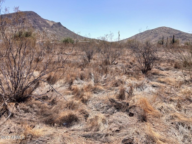 SE View