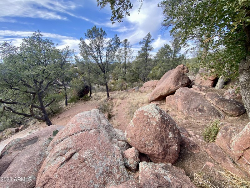 Boulders in the Back