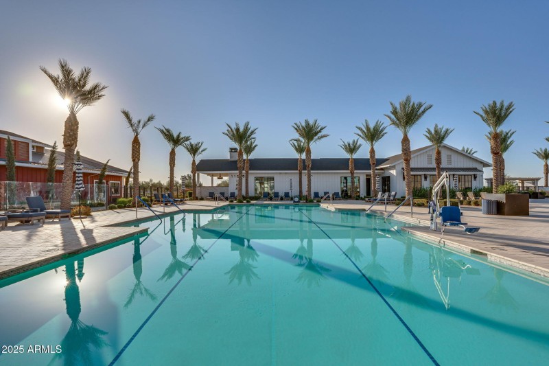 Lap Pool