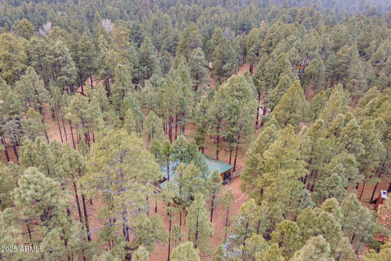 Aerial 1