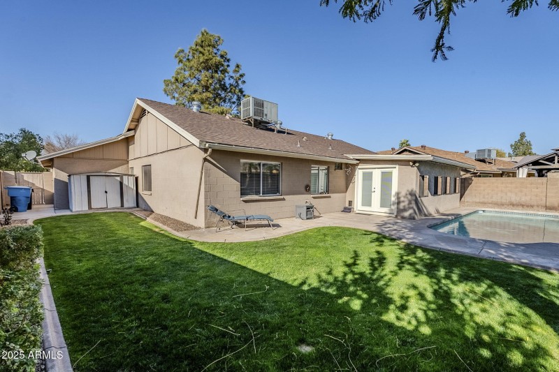 Grassy Backyard