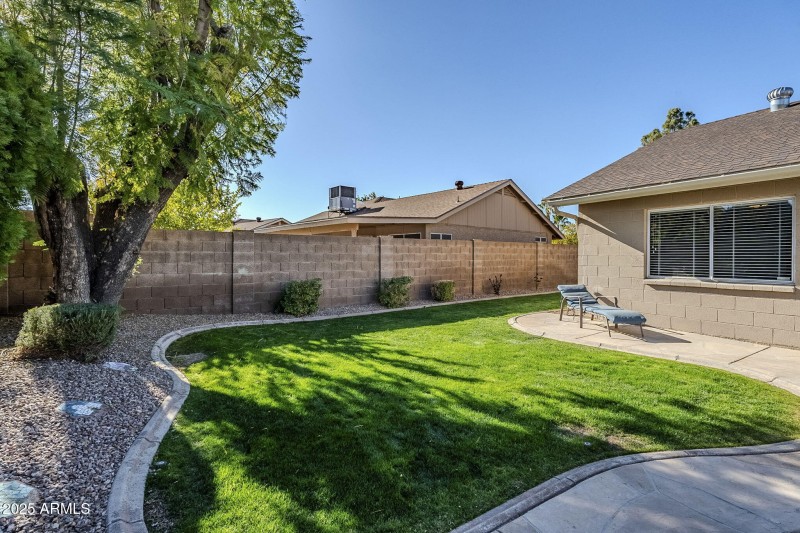 Grassy Backyard