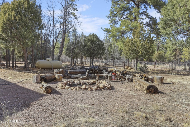 Firepit