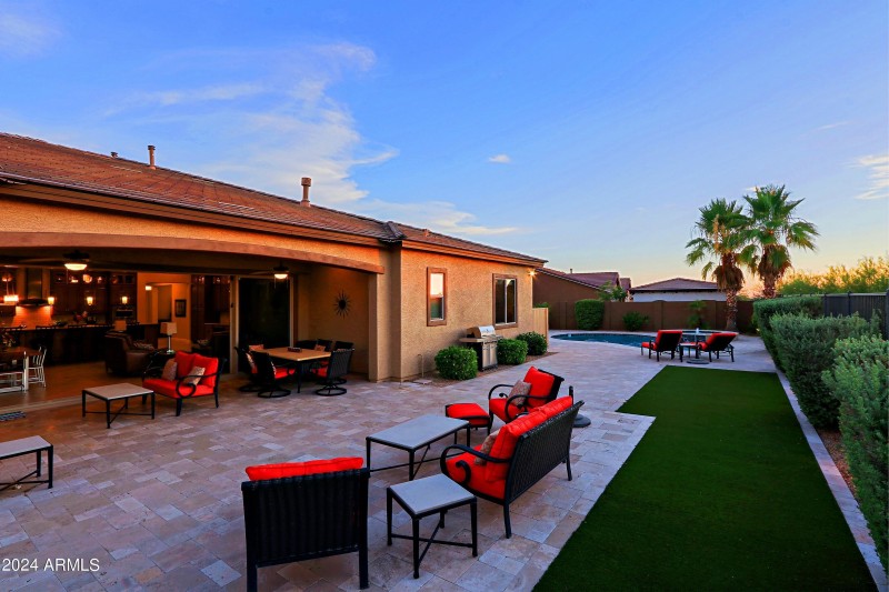 Backyard 23