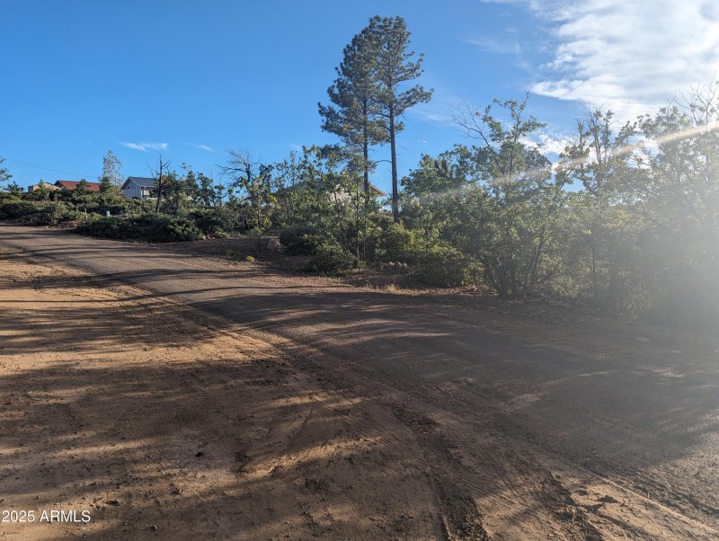 Road in subdivision