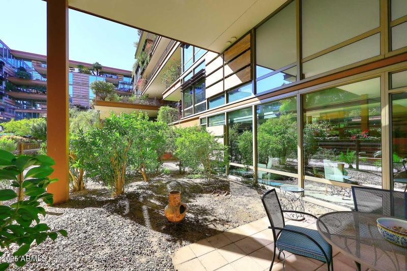 Covered Patio & Yard