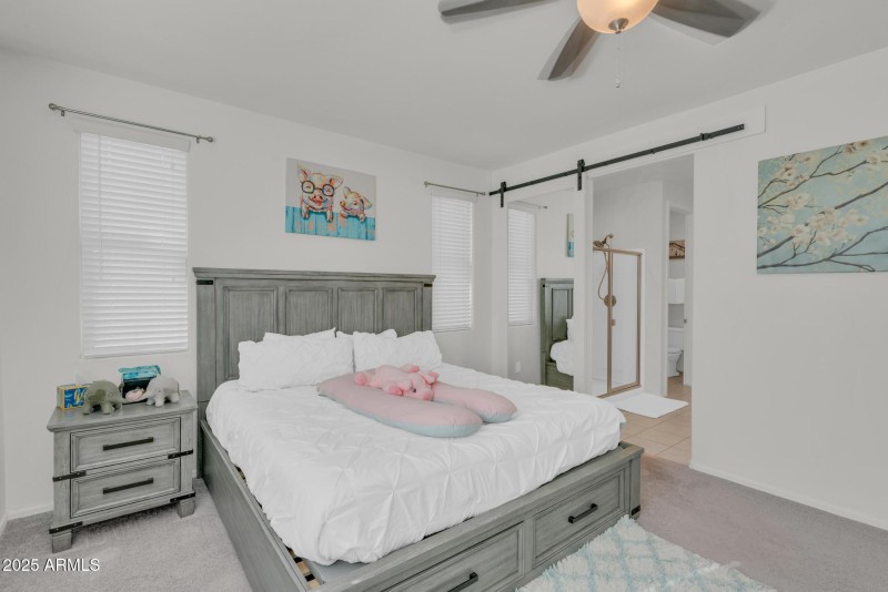 Primary with Barn Door