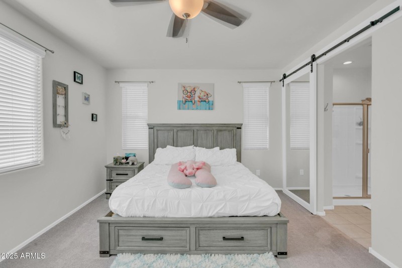 Primary with Extra Windows