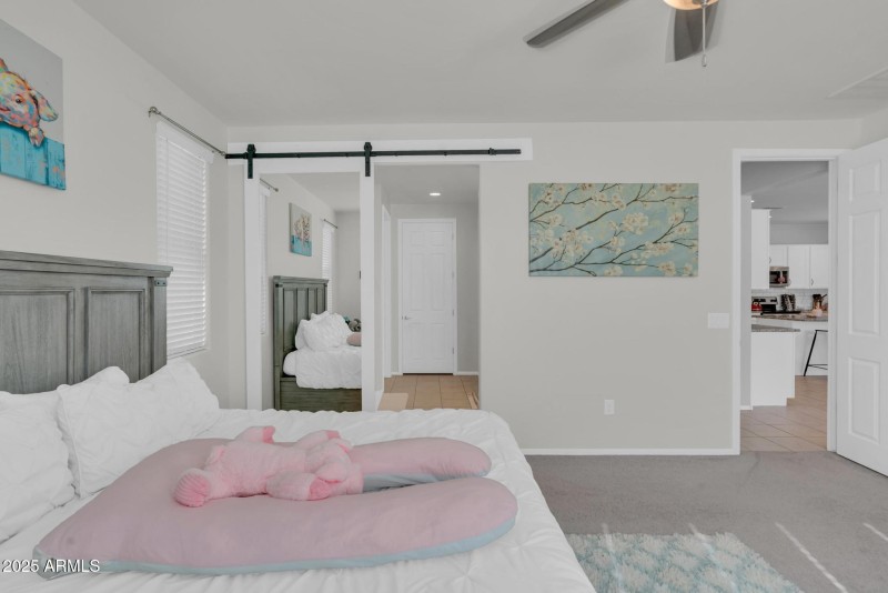 Barn Door in primary