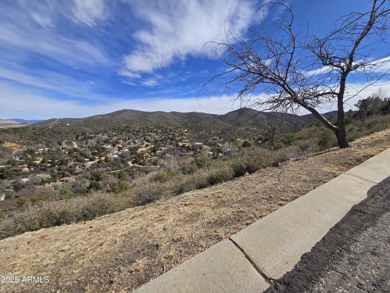 .41 acre lot