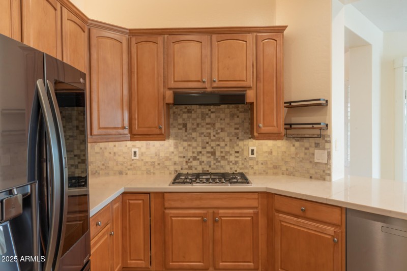 13417WLaVinaDr-27