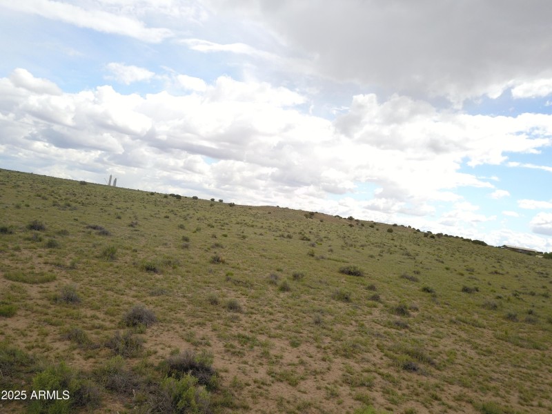 40_5 pic 4