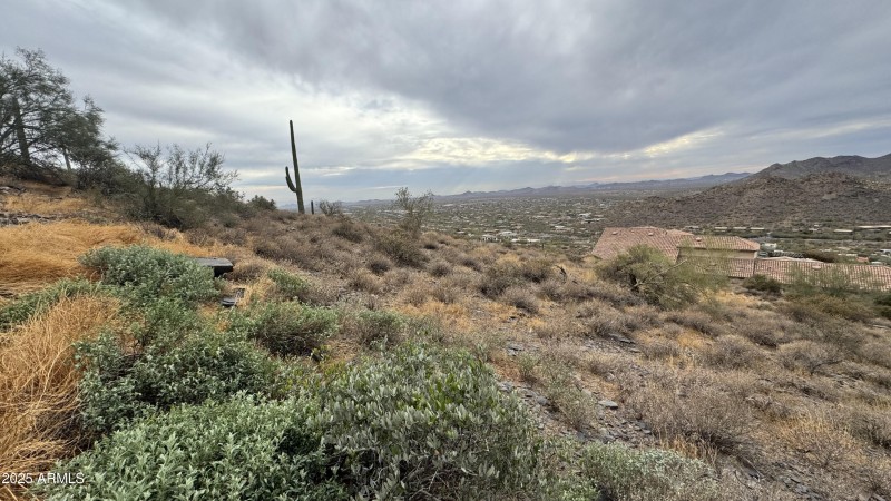SW Views