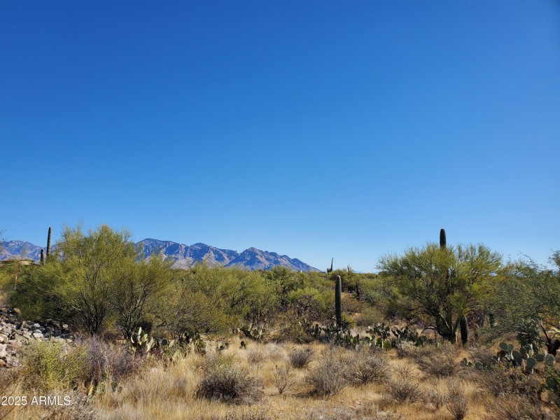 Catalina Mts