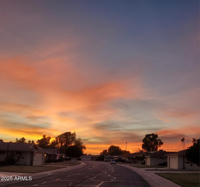 Resized_20241208_173110