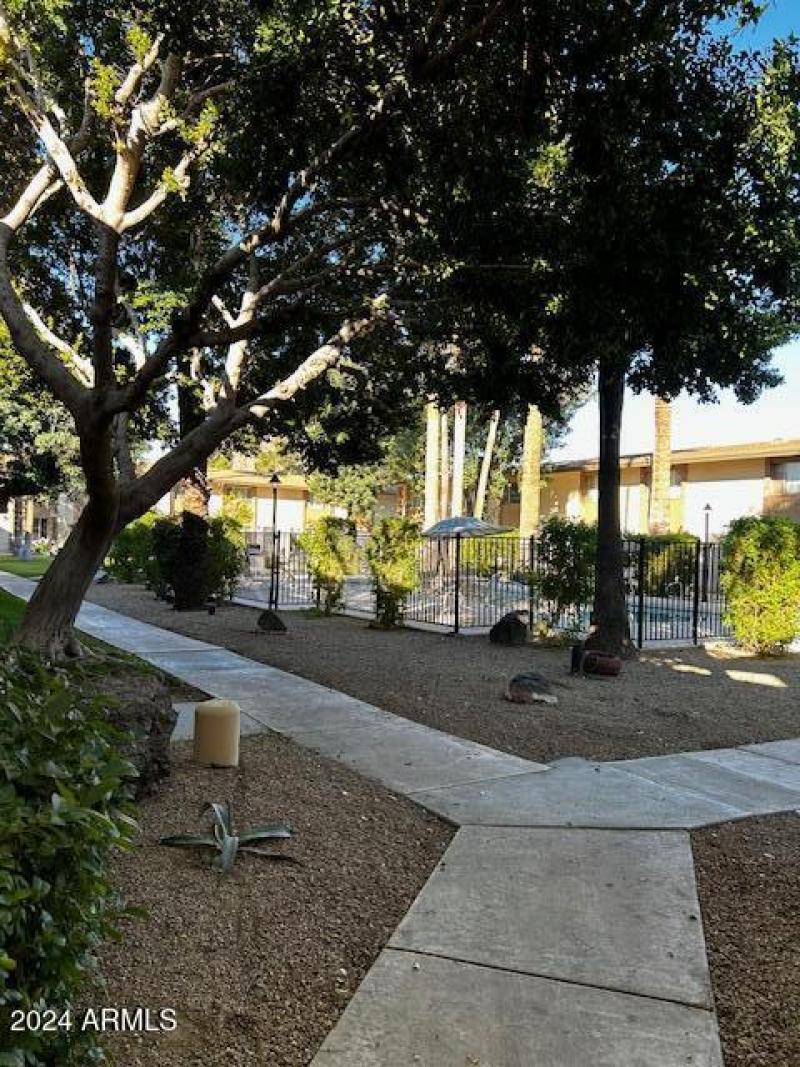 Community Grounds -East