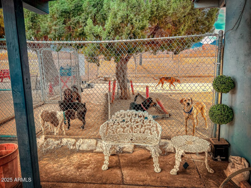 Hillside-kennel-HDR-2