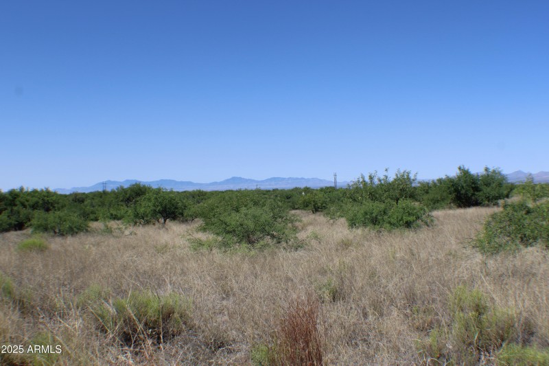 IMG-015