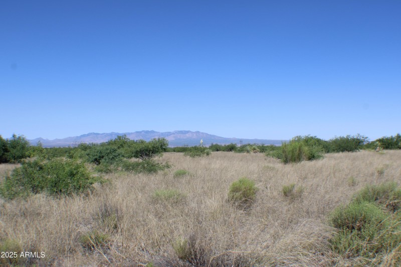 IMG-020