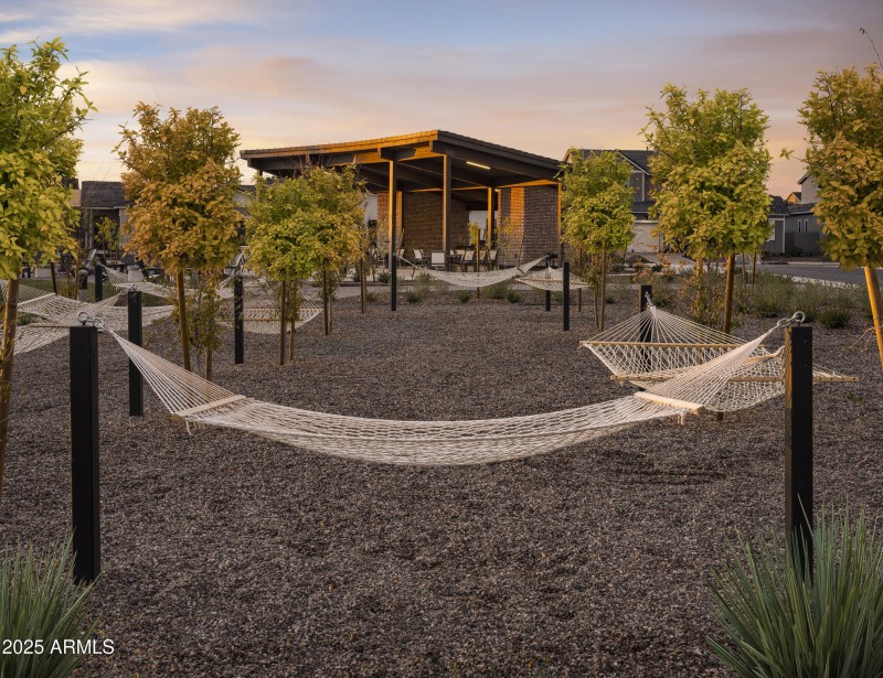 AZ_Preserve at San Tan_Amenities_Hammock