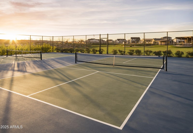 AZ_Preserve at San Tan_Amenities_Pickleb