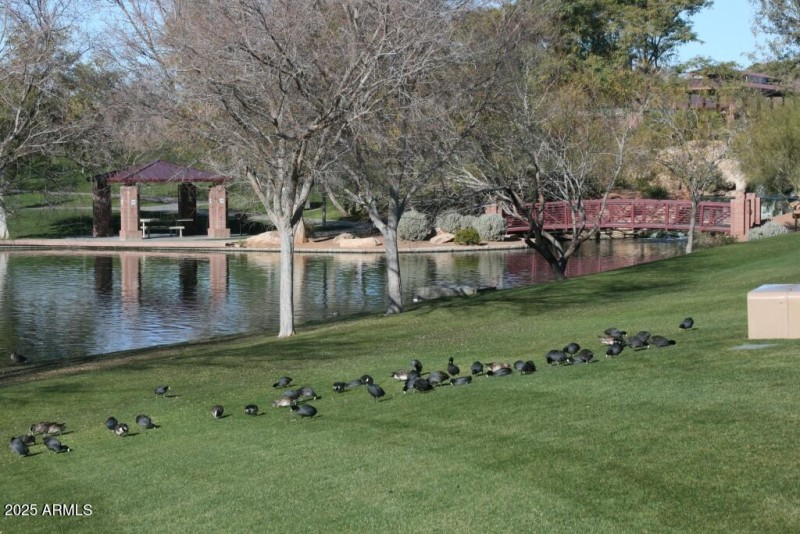 Lake - bridge - ramada