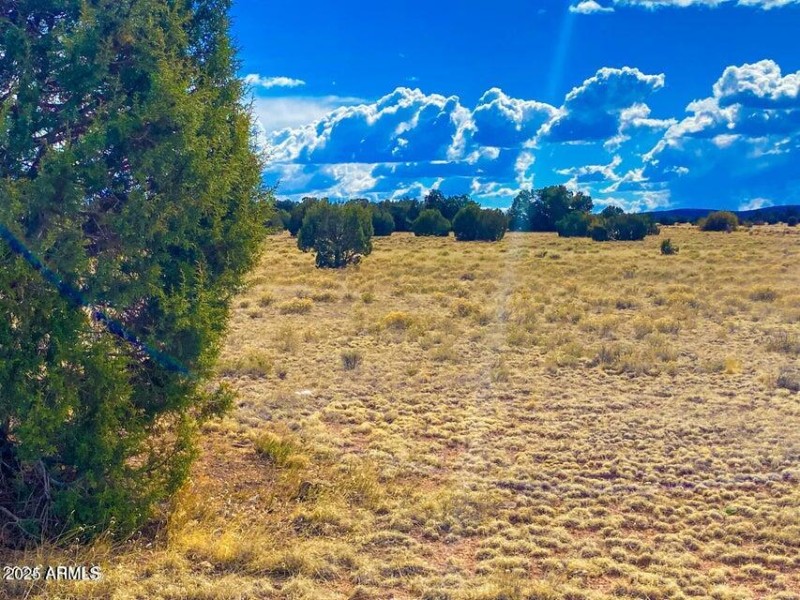 20240321005835539312000000-o (1)