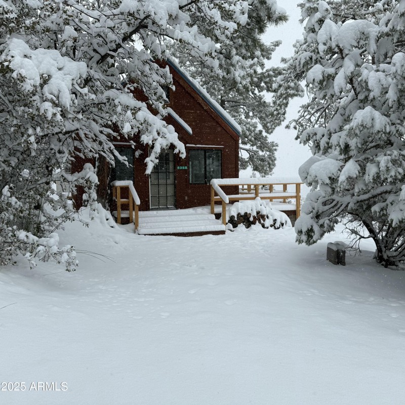 Cabin in the snow