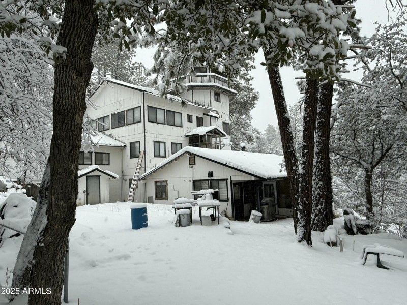 Cabin in the snow