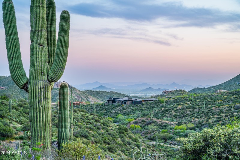Valley of the Sun
