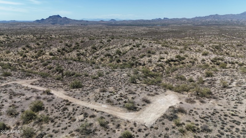 Drone Image (4)