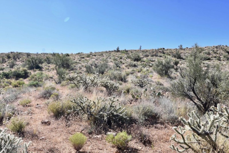 80 Acres Bogles Ranch Rd - 16