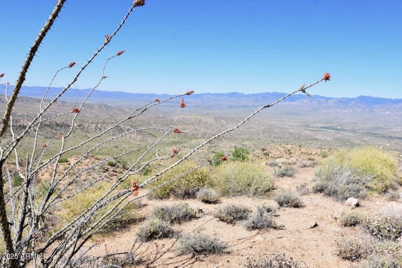 80 Acres Bogles Ranch Rd - 18