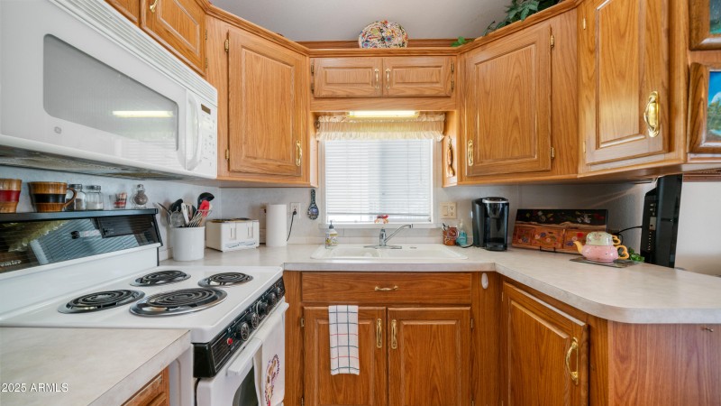 3710 S Goldfield Rd Lot 265 - 008