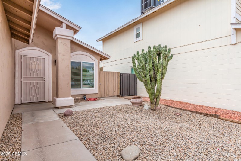 Cactus-Lined Entry Path