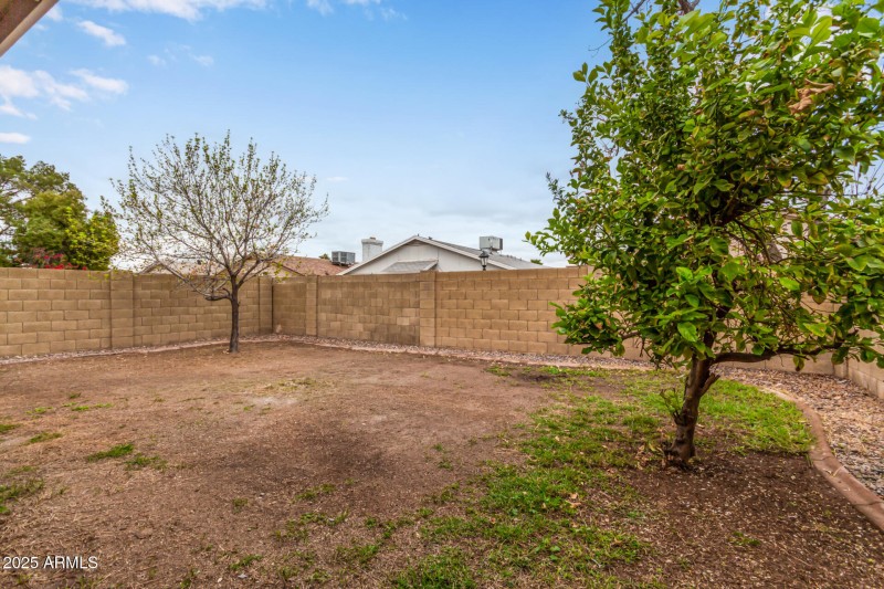 Spacious Yard with Citrus Trees