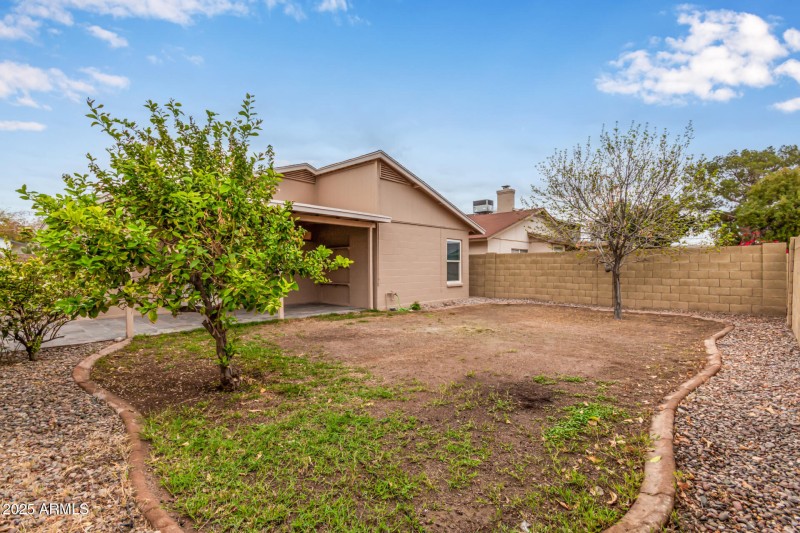 Backyard with Fruit Trees