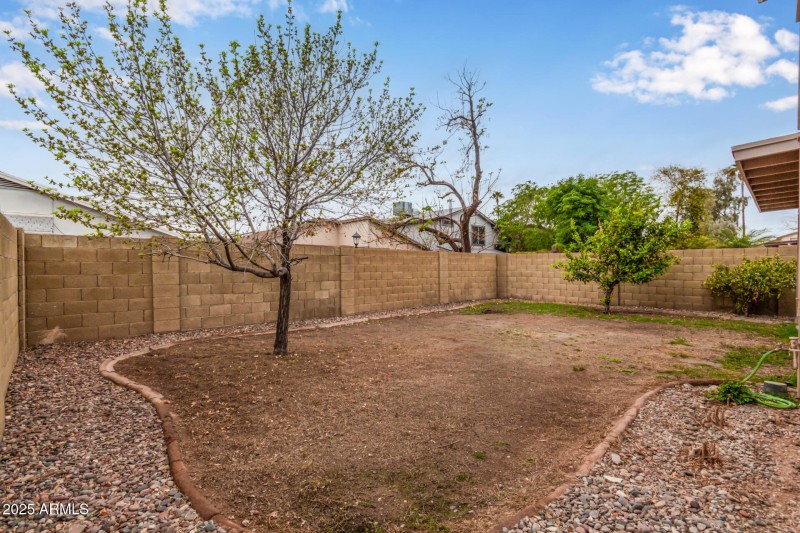 Private Yard with Mature Trees