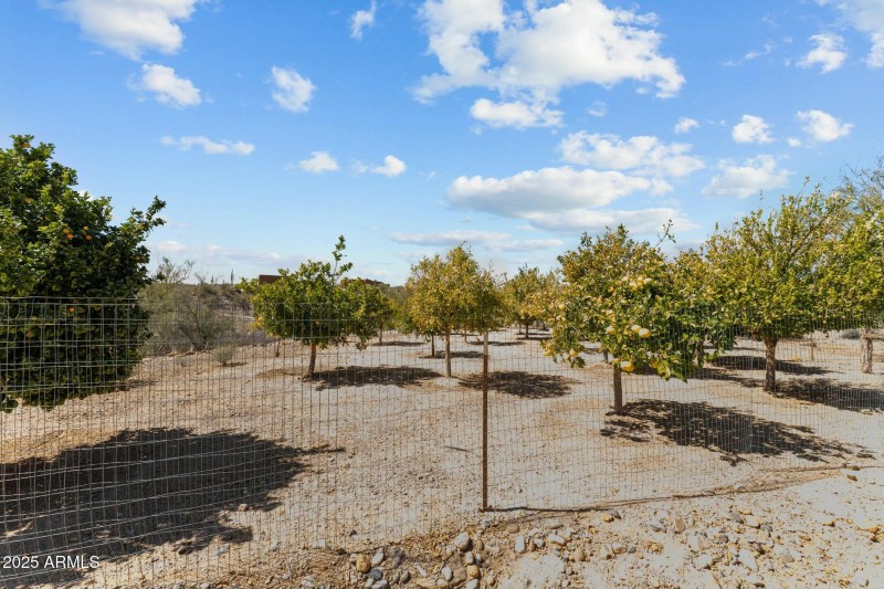 Casita Fruit Orchard