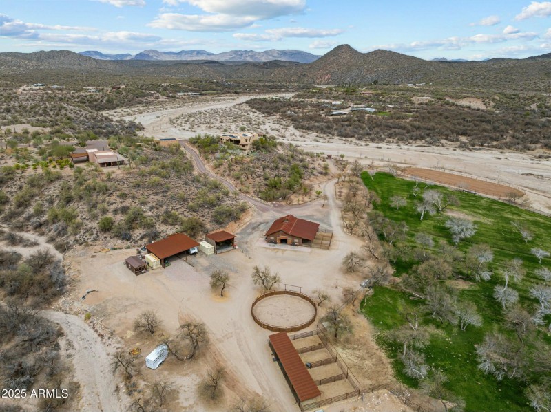 Complete Horse Setup