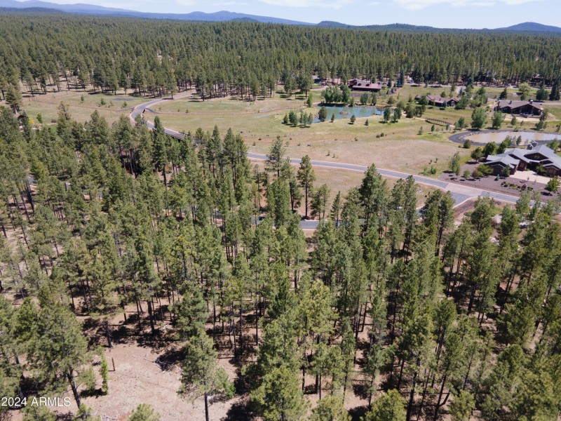 DJI_0466