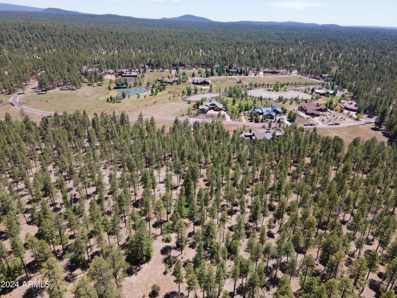 DJI_0467