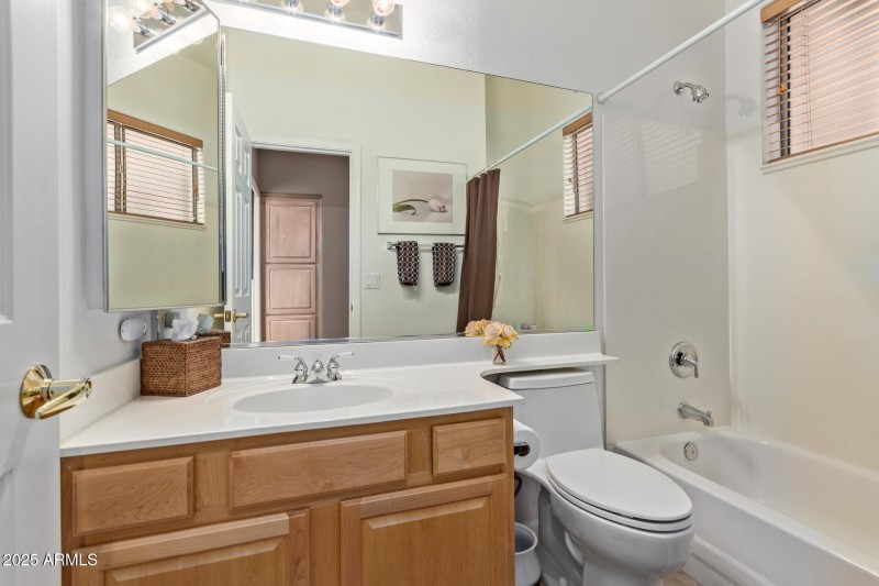 Hall/Guest Bathroom