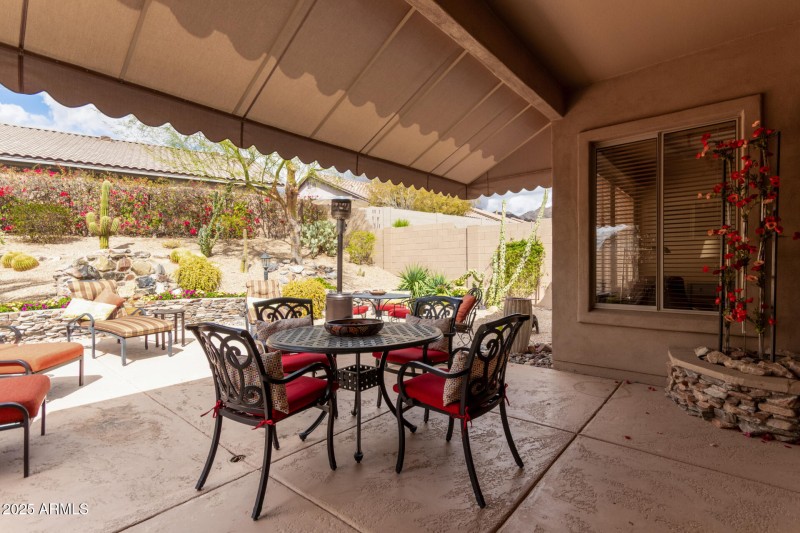 View of Backyard