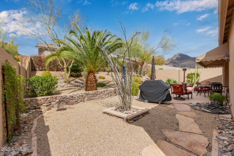 Backyard with water fall