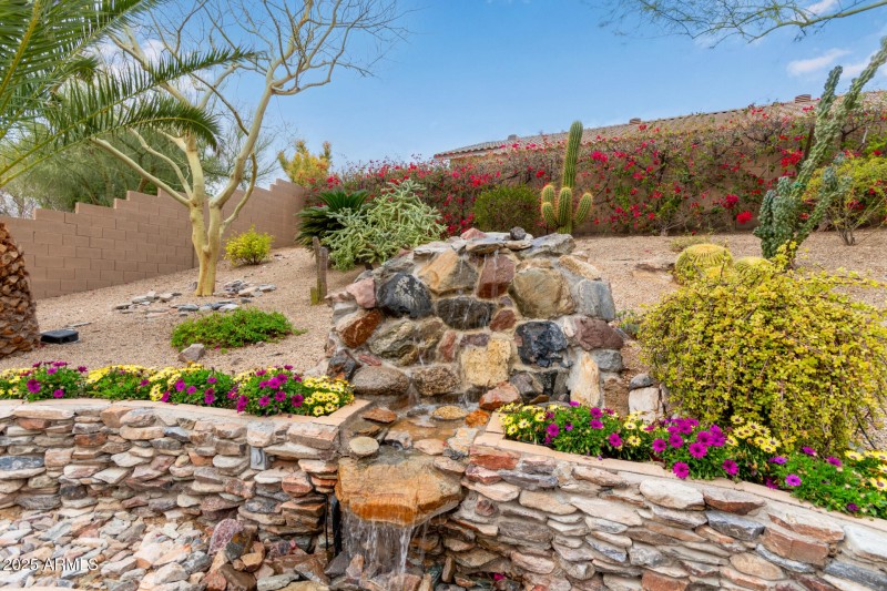 Backyard Water Feature
