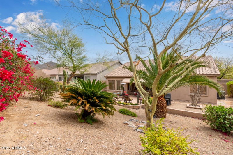 Private Backyard looking toward home