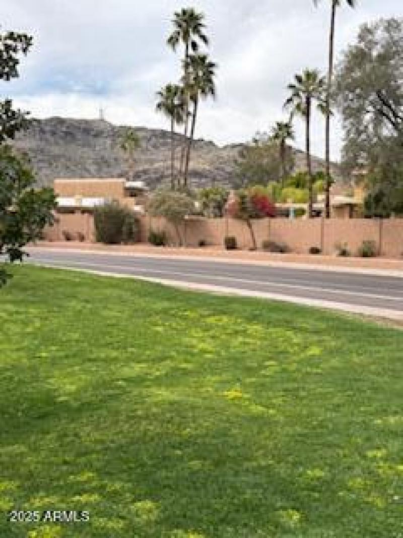 IMG_Mountain View (2)