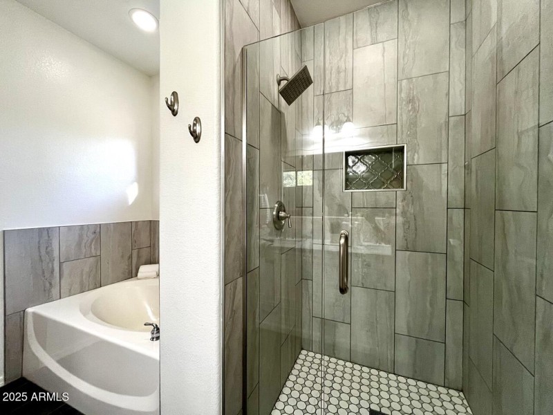 Primary Shower